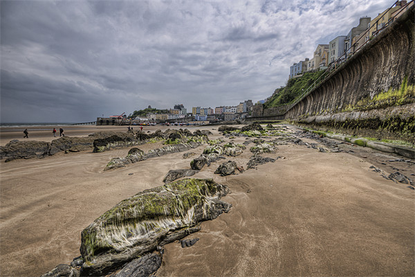 Seaweed and Rocks Tenby Picture Board by Steve Purnell