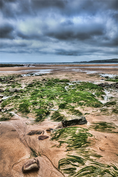 Freshwater West 5 Picture Board by Steve Purnell