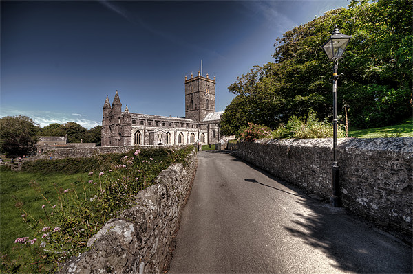St Davids Cathedral Pembrokeshire 2 Picture Board by Steve Purnell