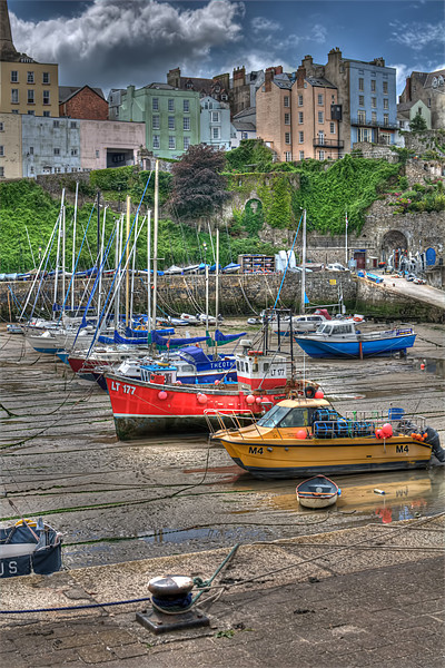 Tenby Harbour 5 Picture Board by Steve Purnell