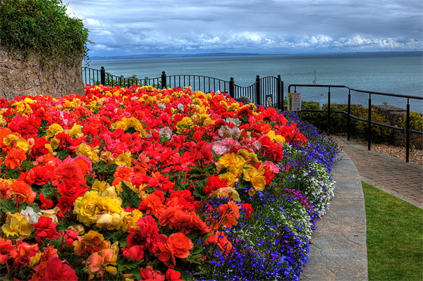 Tenby in Bloom Picture Board by Steve Purnell
