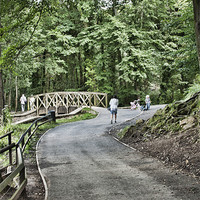 Buy canvas prints of Gnoll Estate Country Park 3 by Steve Purnell