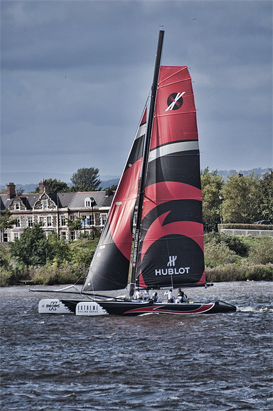 Extreme 40 Team Alinghi Picture Board by Steve Purnell