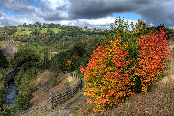 Autumn Nears Picture Board by Steve Purnell