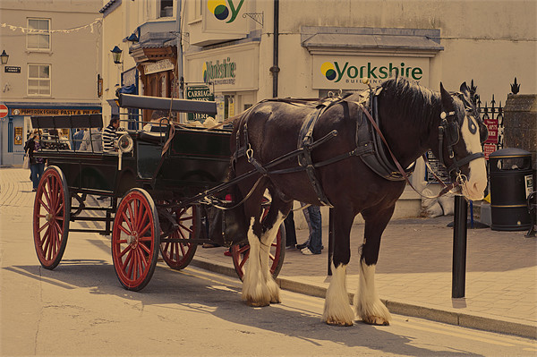 Horse and carriage Picture Board by Steve Purnell