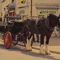 Buy canvas prints of Horse and carriage by Steve Purnell
