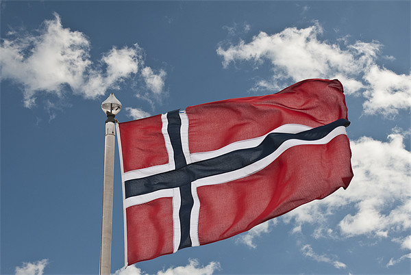 Flag Of Norway Picture Board by Steve Purnell