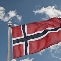 Buy canvas prints of Flag Of Norway by Steve Purnell