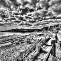Buy canvas prints of Langland Bay Mono by Steve Purnell