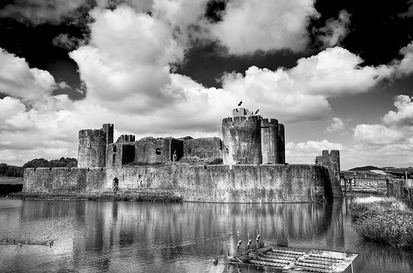 Caerphilly Castle 5 Monochrome Picture Board by Steve Purnell