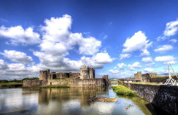 Caerphilly Castle 6 Picture Board by Steve Purnell