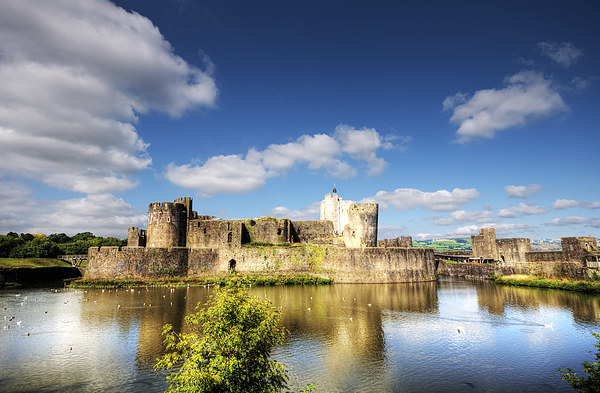 Caerphilly Castle 9 Picture Board by Steve Purnell