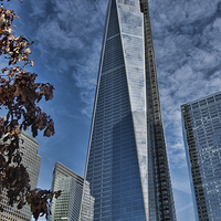 Buy canvas prints of One World Trade Center by Steve Purnell
