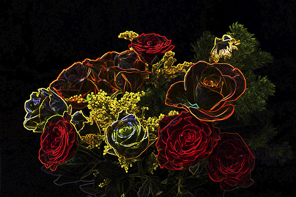 Glowing Roses Picture Board by Steve Purnell