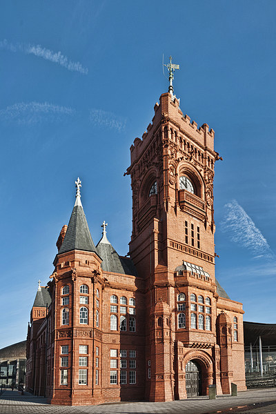 Pierhead Building Cardiff Picture Board by Steve Purnell