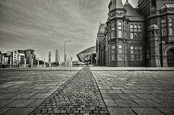 Cardiff Bay Mono Picture Board by Steve Purnell