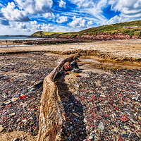Buy canvas prints of Driftwood by Steve Purnell