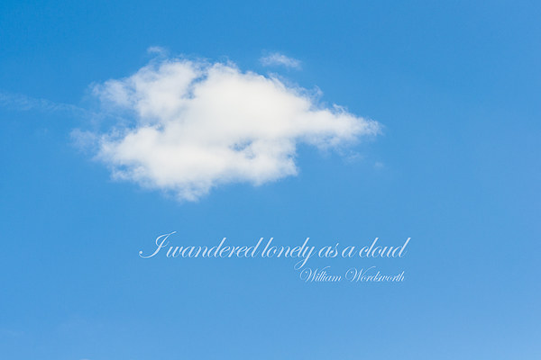 I Wandered Lonely As A Cloud Picture Board by Steve Purnell