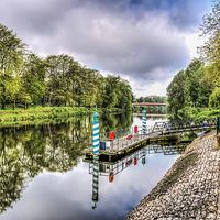Buy canvas prints of Water Bus Stop Bute Park Cardiff by Steve Purnell