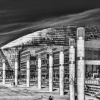 Buy canvas prints of Wales Millennium Centre B&W by Steve Purnell