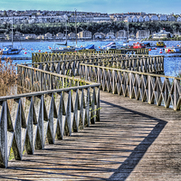 Buy canvas prints of The Boardwalk Cardiff Bay Wetlands by Steve Purnell