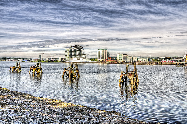 Cardiff Bay Towards St Davids Hotel Picture Board by Steve Purnell