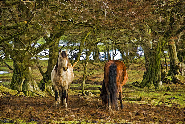 Grazing Horses Painted Effect Picture Board by Steve Purnell