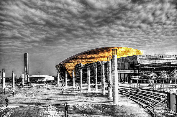Wales Millennium Centre Pop 1 Picture Board by Steve Purnell