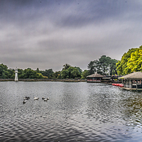 Buy canvas prints of Roath Park Panorama 2 by Steve Purnell