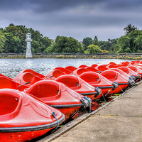 Buy canvas prints of Roath Park 1 by Steve Purnell