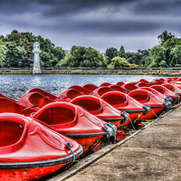 Buy canvas prints of Roath Park 2 by Steve Purnell