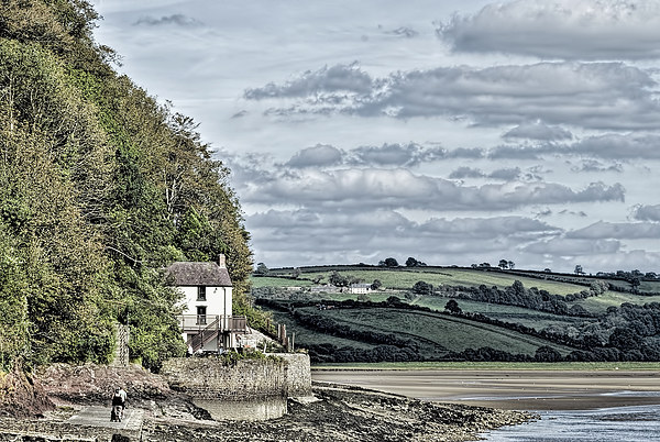 Dylan Thomas Boathouse At Laugharne Picture Board by Steve Purnell