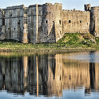 Buy canvas prints of Carew Castle Reflections by Steve Purnell