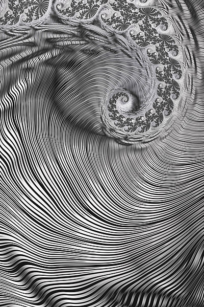 Zebra Swirls Picture Board by Steve Purnell