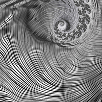 Buy canvas prints of Zebra Swirls by Steve Purnell