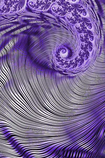 Zebra Swirls 2 Picture Board by Steve Purnell