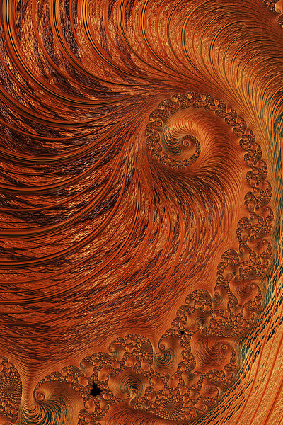 Orange Lily Fractal Picture Board by Steve Purnell