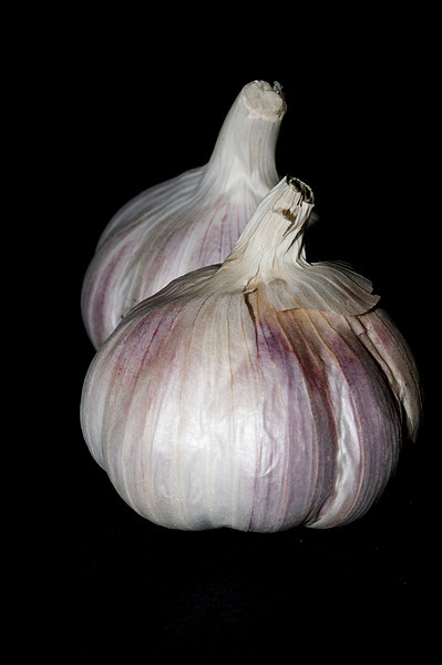 Garlic Picture Board by Steve Purnell