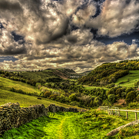 Buy canvas prints of Valley View by Steve Purnell