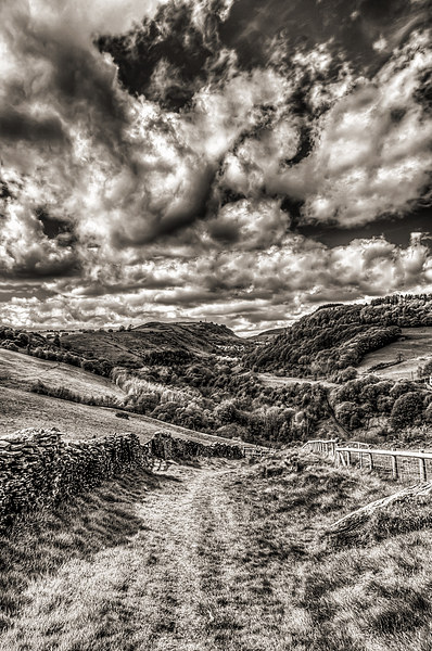 Valley View Mono Picture Board by Steve Purnell