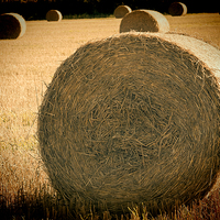 Buy canvas prints of Baled Out 2 by Steve Purnell