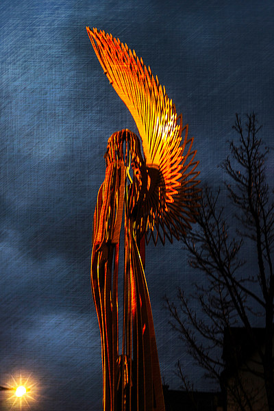 Angel Of The Morning Textured Picture Board by Steve Purnell
