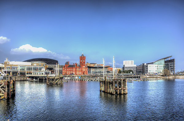 Cardiff Bay Picture Board by Steve Purnell