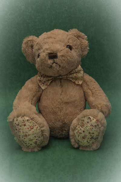 Teddy Bear Green Picture Board by Steve Purnell
