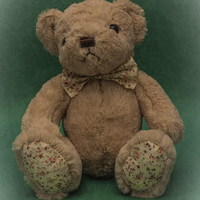 Buy canvas prints of Teddy Bear Green by Steve Purnell