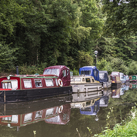 Buy canvas prints of Goytre Wharf 2 by Steve Purnell