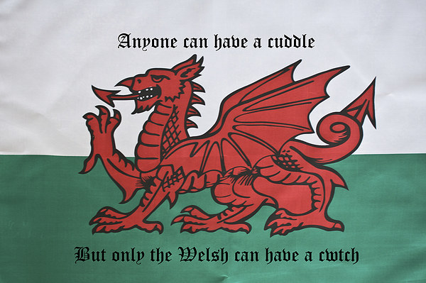 Only The Welsh Can Cwtch Picture Board by Steve Purnell