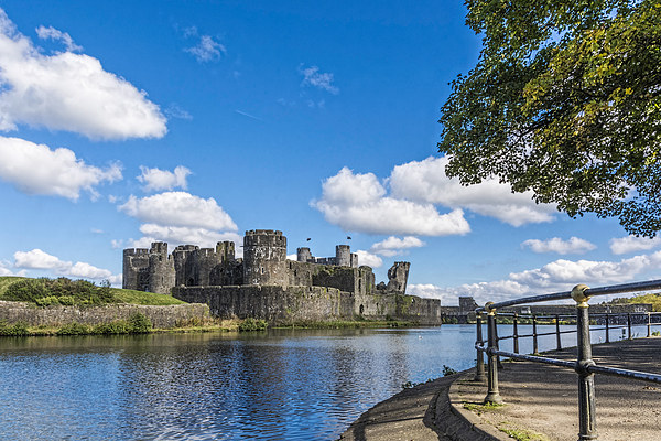 Caerphilly Castle 1 Picture Board by Steve Purnell
