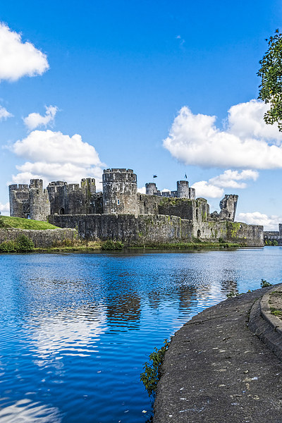 Caerphilly Castle 2 Picture Board by Steve Purnell