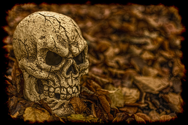 Halloween Skull 1 Picture Board by Steve Purnell